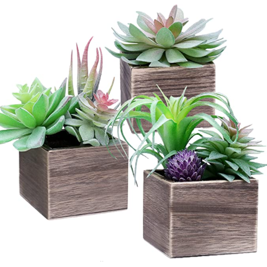 Plants with Pots
